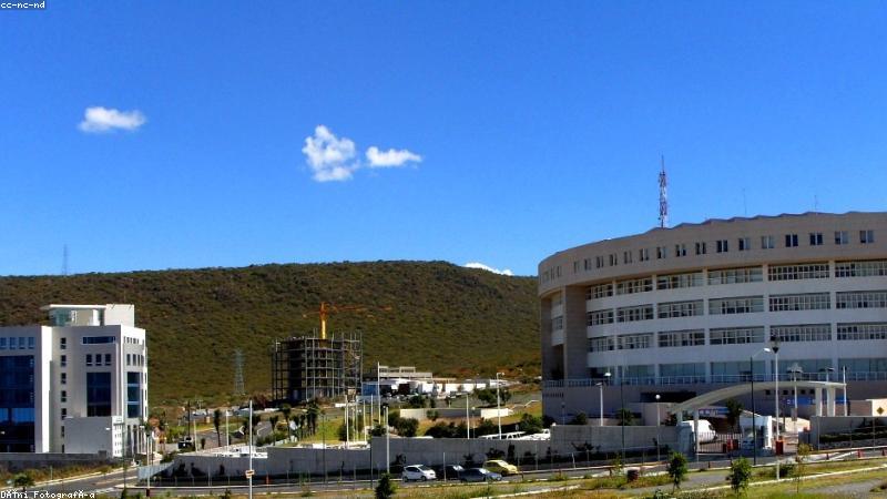 推特中文网中文界面信息流展示